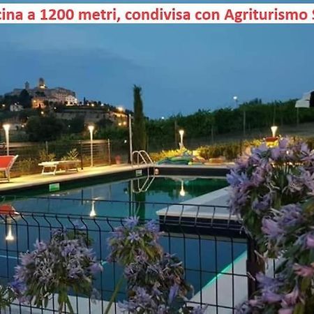 Agriturismo Galanti Cossignano Bagian luar foto