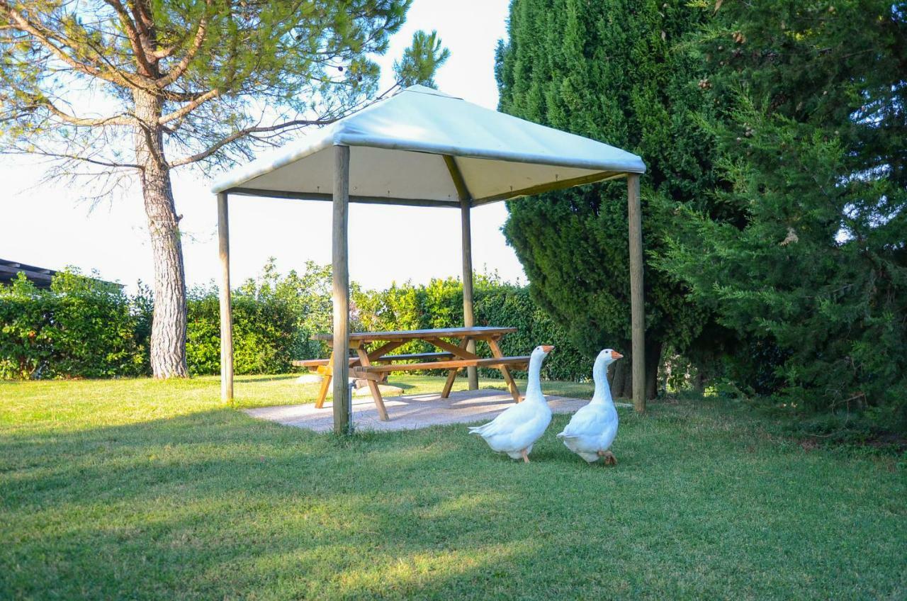 Agriturismo Galanti Cossignano Bagian luar foto